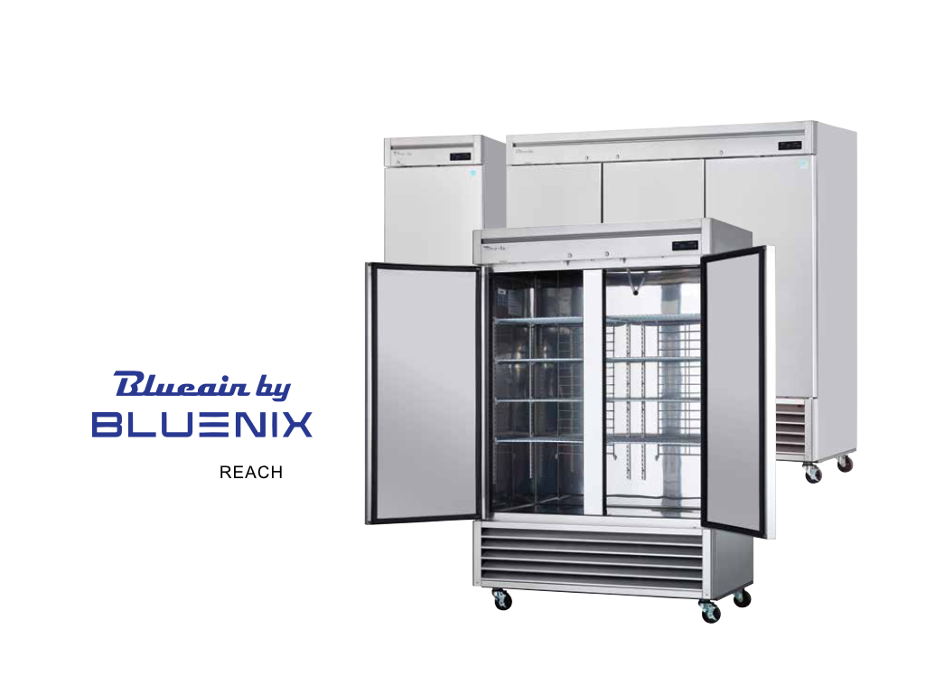 Blueair – REACH-INS